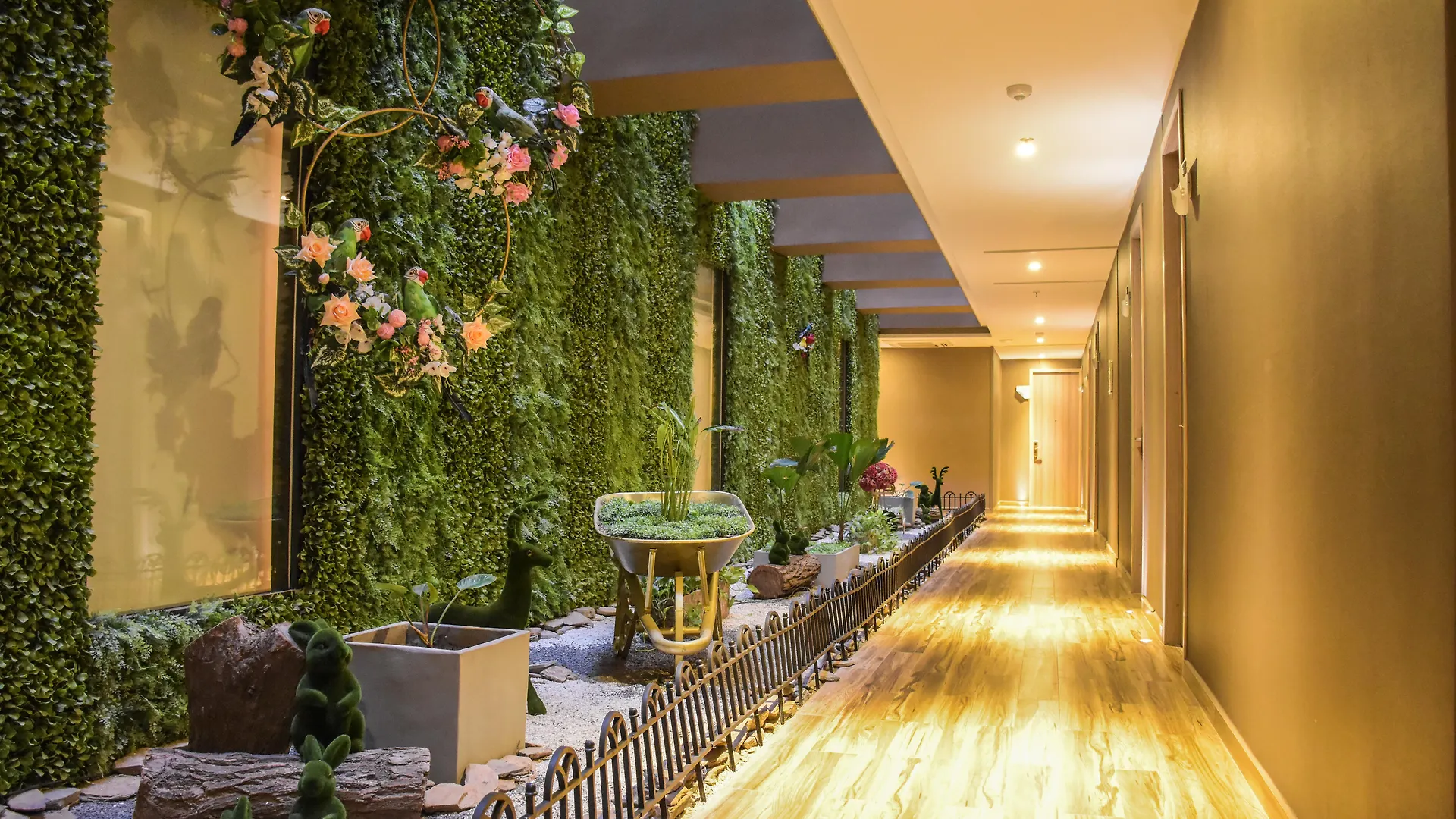 ****  Hotel Catedral Plaza Santa Marta  Colombia