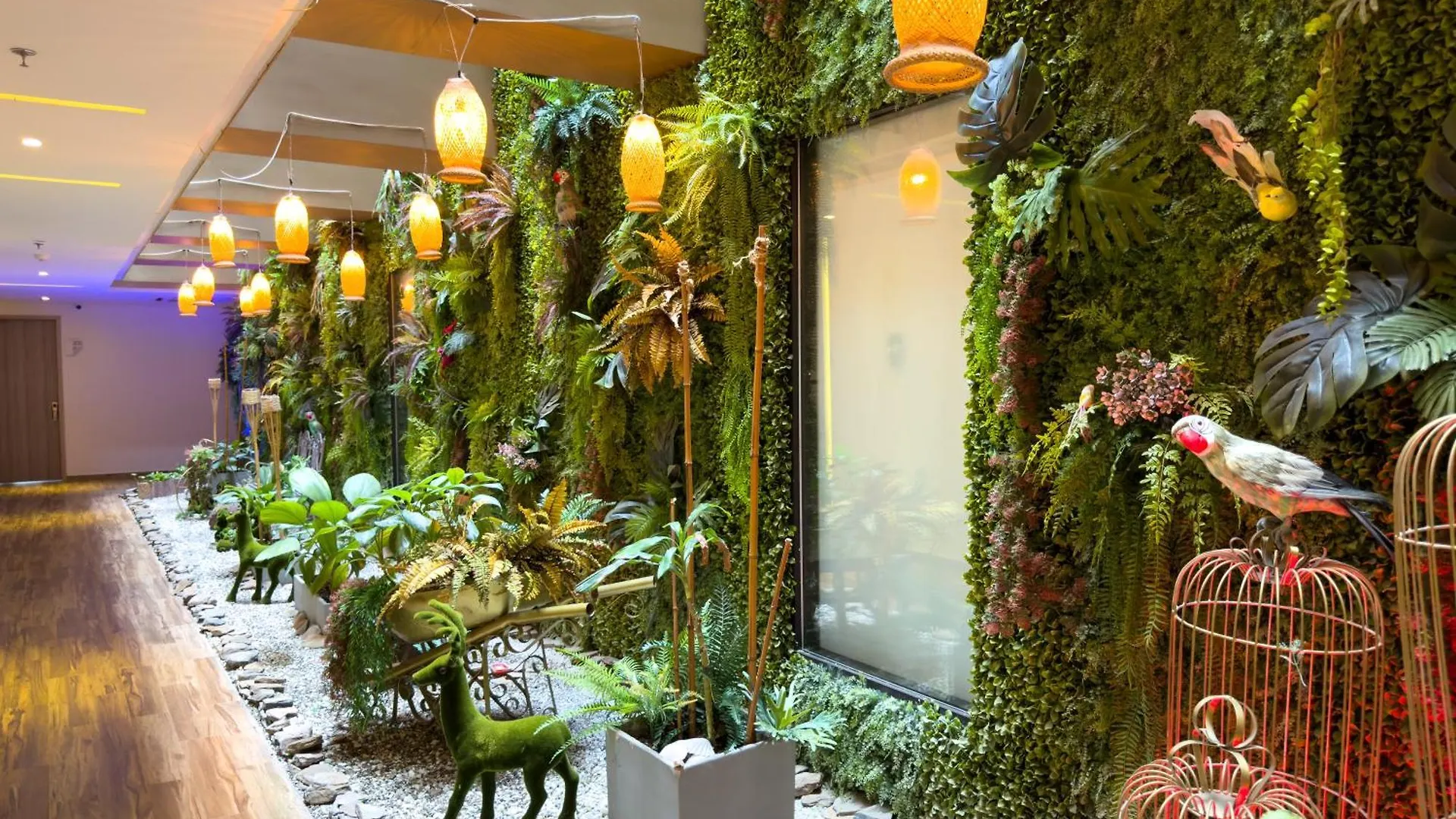 ****  Hotel Catedral Plaza Santa Marta  Colombia